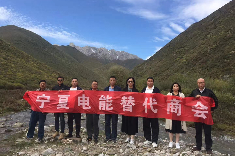 电能替代商会党支部活动.jpg